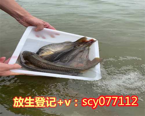 哈尔滨黑鱼能放生吗,哈尔滨何地可以放生螺蛳,哈尔滨养殖的甲鱼可以放生吗