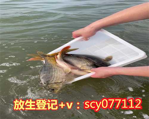 哈尔滨放生泥鳅在哪里，哈尔滨省宗教活