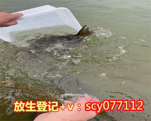 <b>哈尔滨放生蛇的果报，哈尔滨哪里有放生黑鱼的地方呀，哈尔滨哪里允许放生黄</b>