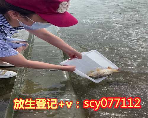 哈尔滨放生鸡图片,哈尔滨哪个公园能放生淡水鱼啊,哈尔滨乌龟放生怎么做记号